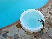 Fiberglass Spa